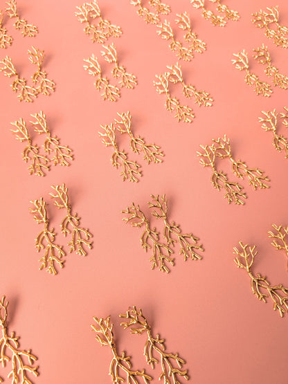 CORAL